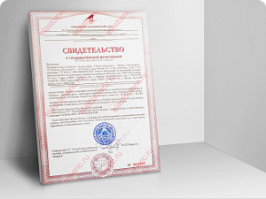 Свидетельство о государственной регистрации 7 Kids, 33 Cleanic